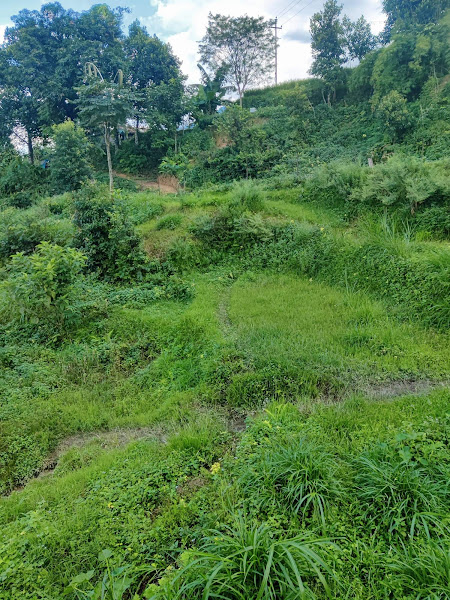 Land for sale in Kathmandu