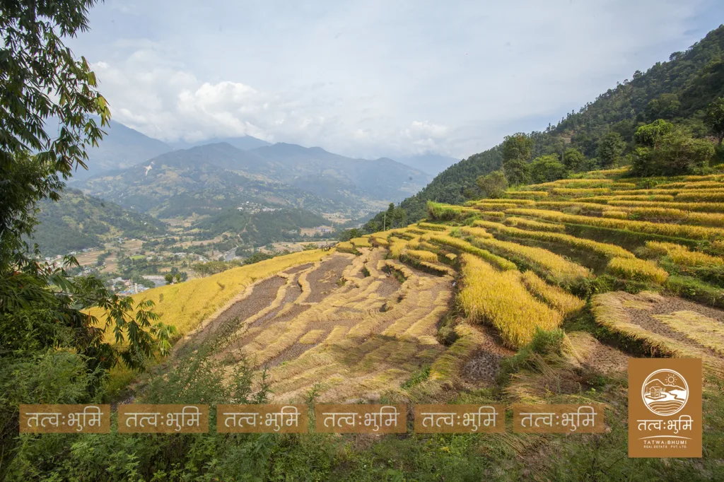 4 Ropani land for sale at katheri, Nuwakot