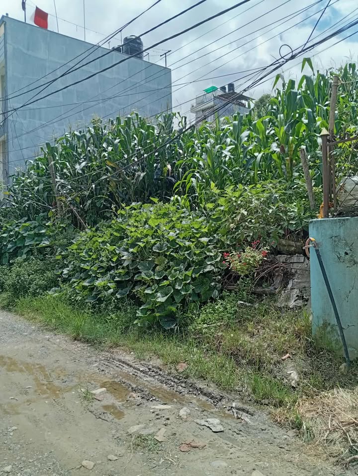 Land on lease