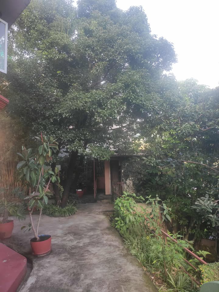 Whole House for Rent in Budhanilkantha