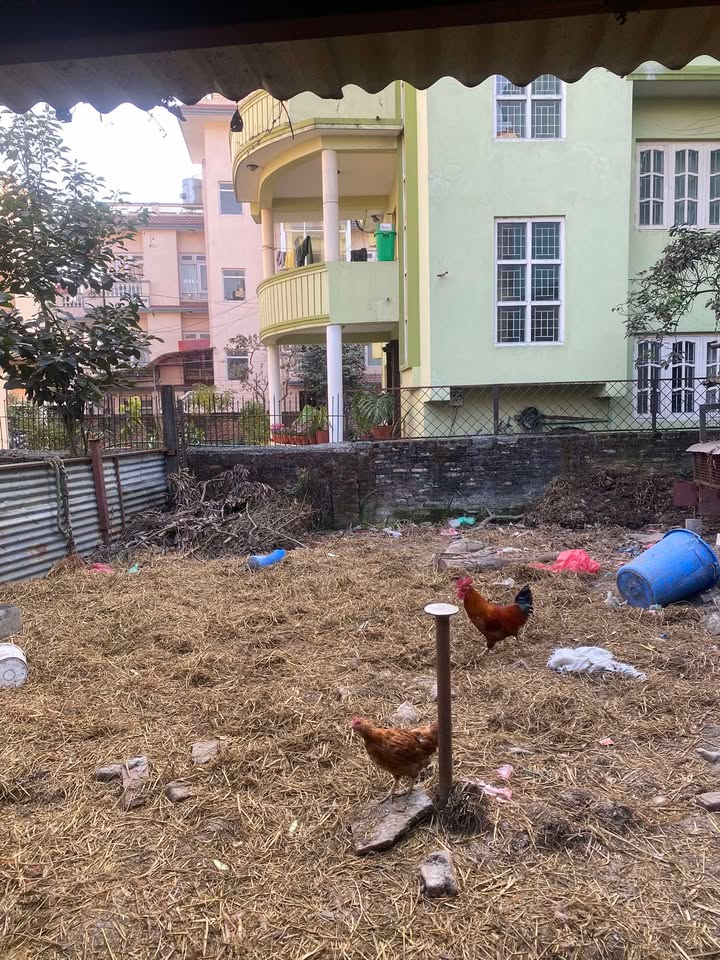 Land For Rent in Chabahil